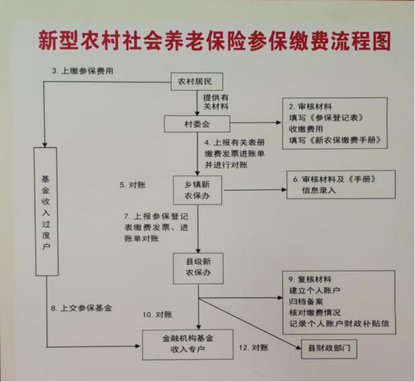 本溪农村医保和社保有什么区别(农村医保跟社保的区别)